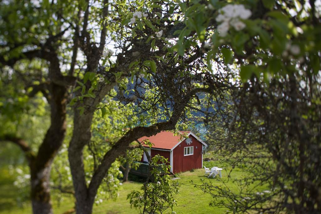 Dragsvik Fjordhotel (Adults Only) Balestrand Exterior foto