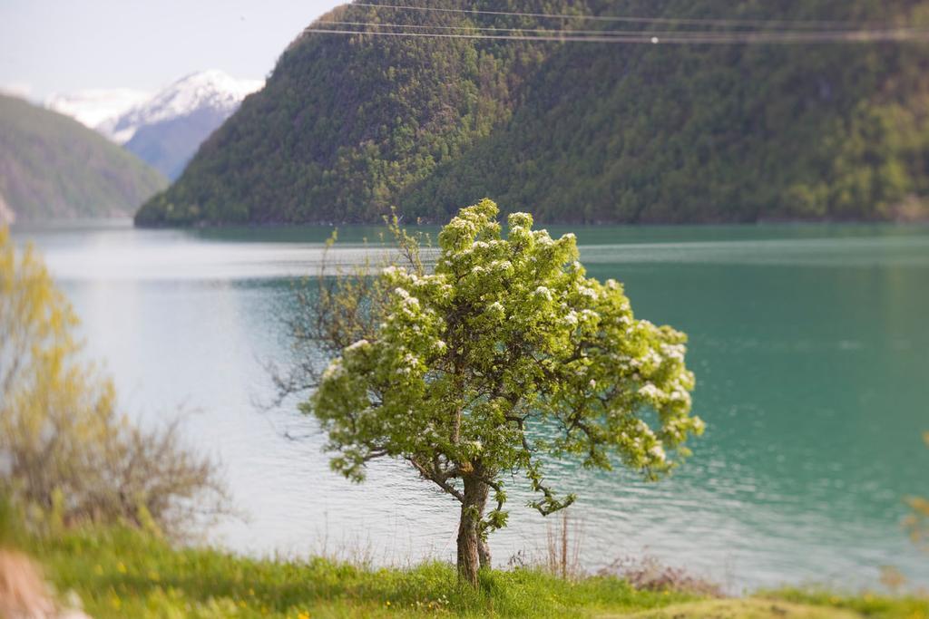 Dragsvik Fjordhotel (Adults Only) Balestrand Exterior foto